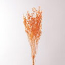 ドライフラワー 花材 とりよせ品 カスピア オレンジ 橙 スワッグ 髪飾り 花材 パーツ 材料 花束 ブーケ おしゃれ ディスプレイ くすみカラー ドライフラワ...