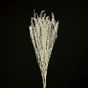 ドライフラワー 花材 とりよせ品 ナズナ クリームホワイト 白 ドライフラワー スワッグ ブーケ ドライフラワー花束 ナチュラル ドライフラワースワッグ リース アレンジ 花材 素材 材料 パーツ アレンジメント 自然素材 装飾 花嫁 アスカ ASCA アスカ商会
