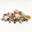 ドライフラワー 花材 即日出荷 ロストフラワー・ミックス ナチュラル 花材 スワッグ 材料 リース ブーケ 手作り ハンドメイド ドライフラワー ドライフラワー...