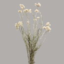 ドライフラワー 花材 即日出荷 【40%OFF】期間限定特価 エバーラスティング・スニーシーズ ナチュラルホワイト系 花材 材料 白 ホワイト パーツ スワッグ...