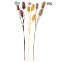 【ポイント10倍中 7/26 09:59迄】 クリスマス 造花 とりよせ品 チーゼル インテリア インテリアフラワー フェイクフラワー シルクフラワー インテリアグリーン フェイクグリーン アートフラワー イミテーション 花材 花資材 素材 アスカ ASCA アスカ商会