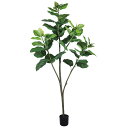フェイクグリーン 観葉植物 とりよせ品 ウンベラータポット150cm 観葉植物 1.5m おしゃれ ファイカス 人工観葉 インテリア インテリアフラワー フェイ...