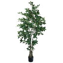 【ポイント10倍中 7/11 09:59迄】 フェイクグリーン 観葉植物 とりよせ品 オスマンサスツリー180cm 観葉植物 1.8m おしゃれ 人工観葉 イン...