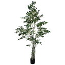 【ポイント10倍中 7/11 09:59迄】 フェイクグリーン 観葉植物 とりよせ品 クラシックフィカス180cm 観葉植物 1.8m おしゃれ ファイカス 人...