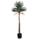 フェイクグリーン 観葉植物 とりよせ品 ユッカアロイフォリア160cm 観葉植物 1.6m おしゃれ 人工観葉 インテリア インテリアフラワー フェイクフラワー...