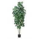 【ポイント10倍中 7/11 09:59迄】 フェイクグリーン 観葉植物 とりよせ品 【メーカー直送】シェフレラ(ポット付)180cm《代引不可・他商品との同梱...