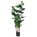 フェイクグリーン 観葉植物 とりよせ品 【メーカー直送】インディアンアーモンド(ポット付)146cm《代引不可・他商品との同梱不可》 観葉植物 1.4m 大型 ...