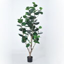 フェイクグリーン 観葉植物 とりよせ品 【メーカー直送】インディアンアーモンド(ポット付)180cm《代引不可・他商品との同梱不可》 観葉植物 1.8m 大型 ...