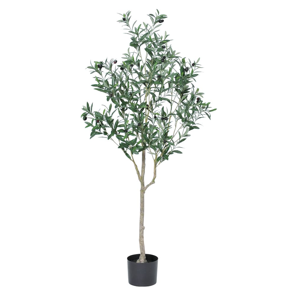 《 フェイクグリーン 観葉植物 》◆とりよせ品◆Asca(アスカ) 【メーカー直送】オリーブ(ポット付)156cm《代引不可・他商品との同梱不可》 ナチュラル観葉植物 1.5m 大型 おしゃれ 人工観葉 春