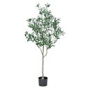 フェイクグリーン 観葉植物 とりよせ品 【メーカー直送】オリーブ(ポット付)156cm《代引不可・他商品との同梱不可》 観葉植物 1.5m 大型 おしゃれ 人工...