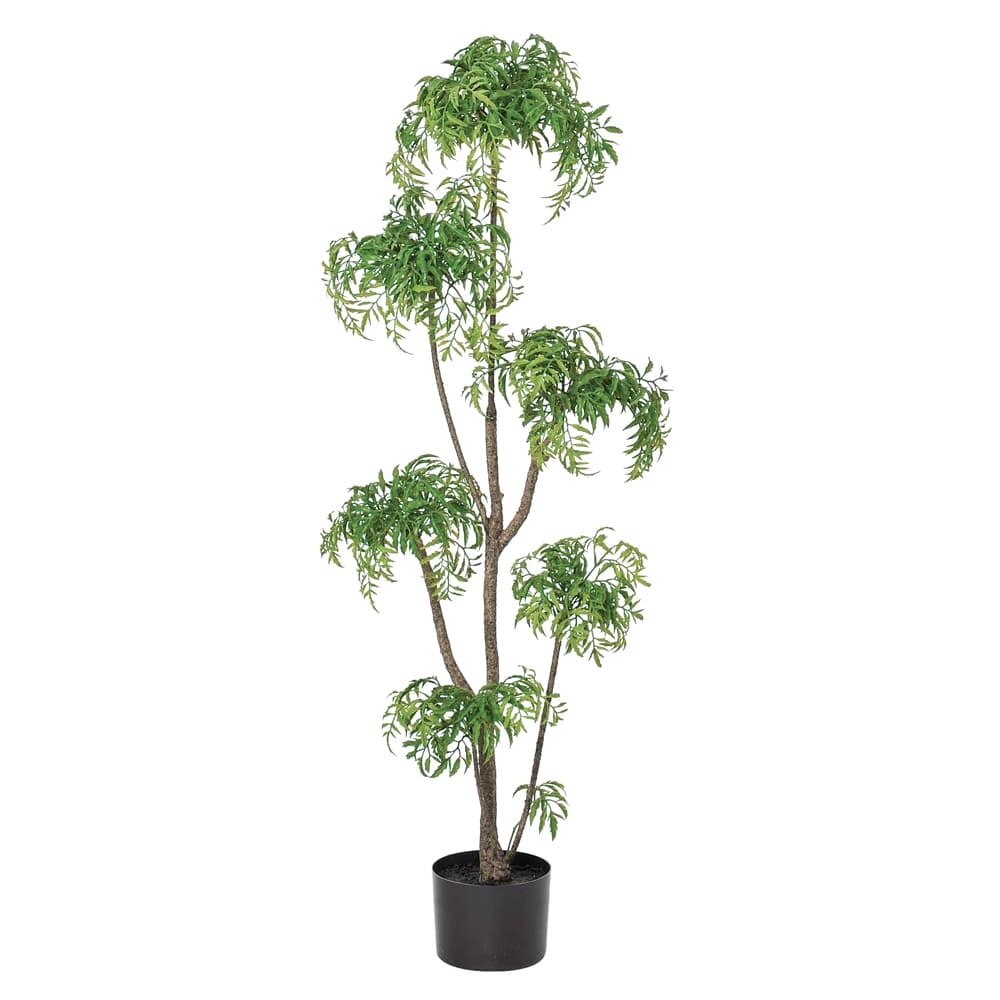 《 フェイクグリーン 観葉植物 》◆とりよせ品◆Asca(アスカ) 【メーカー直送】アラリア(ポット付)120cm《代引不可・他商品との同梱不可》 グリーン観葉植物 1.2m 大型 おしゃれ 人工観葉 安い