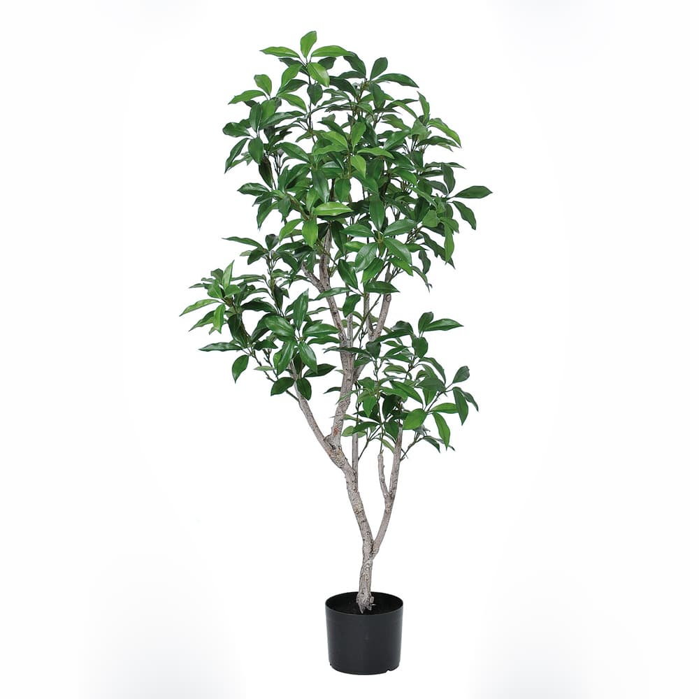 《 フェイクグリーン 観葉植物 》◆とりよせ品◆Asca(アスカ) 【メーカー直送】ローレルツリー(ポット付)135cm《代引不可・他商品との同梱不可》 グリーン観葉植物 1.3m 大型 おしゃれ 人工観葉