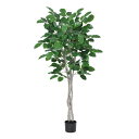 【ポイント10倍中 7/11 09:59迄】 フェイクグリーン 観葉植物 とりよせ品 【メーカー直送】ジャイアントツリー(ポット付)170cm《代引不可・他商品...