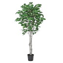 【ポイント10倍中 7/11 09:59迄】 フェイクグリーン 観葉植物 とりよせ品 【メーカー直送】ジャイアントツリー(ポット付)200cm《代引不可・他商品...