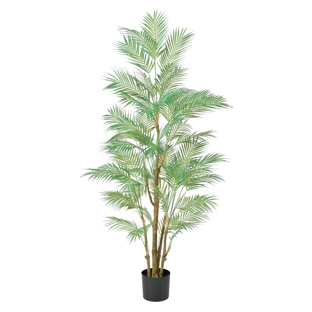 《 フェイクグリーン 観葉植物 》 ◆とりよせ品◆Asca(アスカ) 【メーカー直送】パーム(ポット付)190cm《代引不可・他商品との同梱不可》 観葉植物 1.9m 大型 おしゃれ 人工観葉 インテリア インテリアフラワー フェイクフラワー シルクフラワー 店舗装飾