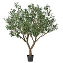 《 フェイクグリーン 観葉植物 》◆とりよせ品◆Asca(アスカ) 【メーカー直送】オリーブ(ポット付)230cm《代引不可・他商品との同梱不可》 オリーブ観葉植物 2.3m 大型 おしゃれ 人工観葉 安い