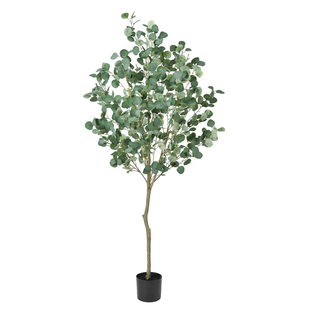 《 フェイクグリーン 観葉植物 》◆とりよせ品◆Asca(アスカ) 【メーカー直送】ユーカリ(ポット付)180cm《代引不可・他商品との同梱不可》 グレイグリーン観葉植物 1.8m 大型 おしゃれ 人工観葉