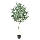 【ポイント10倍中 7/11 09:59迄】 フェイクグリーン 観葉植物 とりよせ品 【メーカー直送】ユーカリ(ポット付)180cm《代引不可・他商品との同梱不...