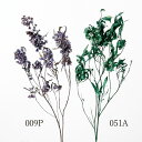 ドライフラワー 花材 とりよせ品 ホップブッシュ 花材 素材 材料 ブルー グリーン スワッグ ブーケ ドライフラワー花束 ドライフラワースワッグ リース アレ...