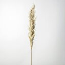 【ポイント10倍中 7/11 09:59迄】 ドライフラワー 花材 とりよせ品 パンパス スワッグ 髪飾り 花材 パーツ 材料 花束 ブーケ パンパス系 おしゃ...