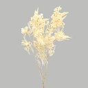 ドライフラワー 花材 即日出荷 ホップブッシュ クリームホワイト 花材 素材 材料 パーツ レジン 白 白素材 スワッグ ブーケ ドライフラワー花束 ドライフラ...
