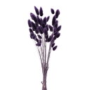 ドライフラワー 花材 即日出荷 ラグラス グレープ 穂 ふわふわ パープル 紫 花材 材料 リース ブーケ 手作り ハンドメイド ドライフラワー スワッグ ドラ...