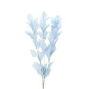 プリザーブドフラワー 花材 即日出荷 【40%OFF】期間限定特価 ルスカス・ガーデン 〇 ベビーブルー ドライフラワー リーフ 葉 プリザーブドフラワー スワ...