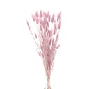 ドライフラワー 花材 即日出荷 ラグラス ミスティパープル 花材 素材 材料 パーツ ピンク モーブ モーヴ くすみカラー ニュアンスカラー スワッグ ブーケ ...