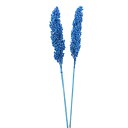 ドライフラワー 花材 即日出荷 インディアンコーン 海 ※ボリューム差があります ソルゴ 青 ブルー 花材 素材 材料 スワッグ ブーケ ドライフラワー花束 ド...