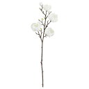 【ポイント10倍中 7/26 09:59迄】 造花 とりよせ品 マグノリア×5 つぼみ×3 モクレン 木蓮 銀厚朴 ギンコウボク 白 ホワイト 和 インテリア インテリアフラワー フェイクフラワー シルクフラワー インテリアグリーン 花材 花資材 アスカ ASCA アスカ商会