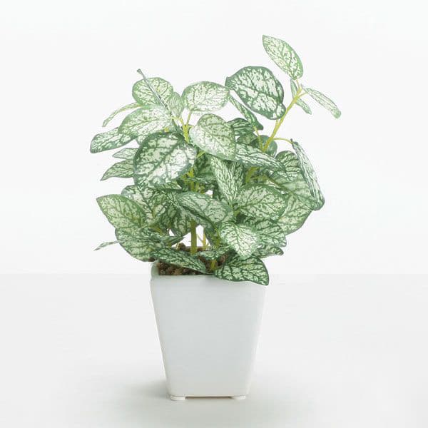 【P10倍 12/31まで！】 フェイクグリーン 観葉植物 とりよせ品 ペペロミアポット 観葉植物 観葉樹 フェ..