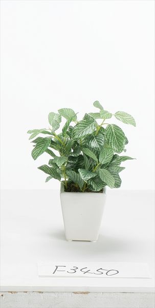 【ポイント10倍中 6/27 09:59迄】 フェイクグリーン 観葉植物 とりよせ品 フィットニアミニポット 観葉植物 観葉樹 フェイクグリーン リーフ おしゃれ 南国風 インテリア 造花 人工観葉 小さめ インテリアフラワー フェイクフラワー シルクフラワー 安い