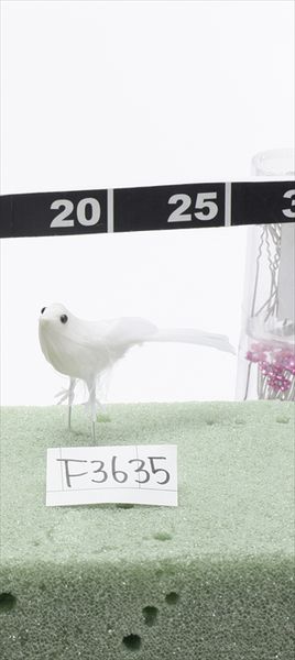 ◆とりよせ品◆ ホワイトバード ホワイトインテリア小物 装飾 かわいい 動物 鳥 小鳥 パーツ アレンジメント 花資材 材料 写真撮影 小物 手作り 安い 春 夏 秋 冬 おひなさま 五月 母の日 ギフト