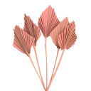 【ポイント10倍中 7/26 09:59迄】 ドライフラワー 花材 即日出荷 パームスペード モーブピンク 花材 素材 パーツ ピンクベージュ ヤシの葉 パーム...