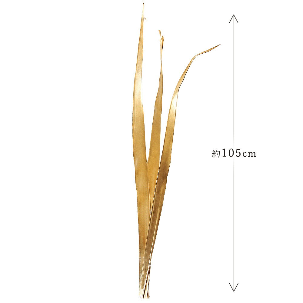 《ドライフラワー 花材》★即日出荷★東方貿易 ココリーフ ゴールド ※葉先の折れがある場合があります ゴールド花材 素材 パーツ 金色 ヤシの葉 パームリーフ ヤシ ブライダル スワッグ リース ブーケ 花束 アレンジメント ナチュラル 自然素材 3