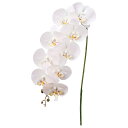 ★P10倍 10/14 20時から★ 造花 とりよせ品 コチョウラン×9 つぼみ×3 ラン 蘭 らん ピンク インテリア インテリアフラワー フェイクフラワー ...
