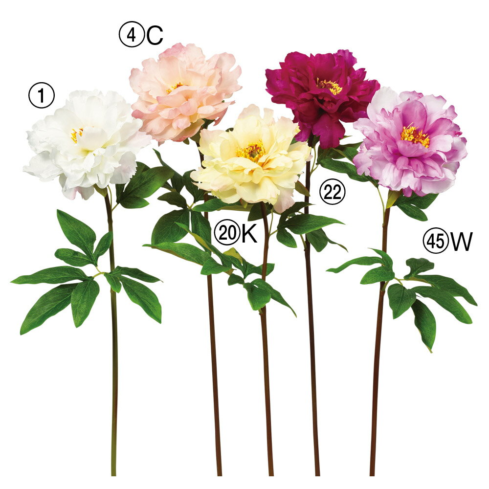 【ポイント15倍中 5/27 9:59迄】 《 造花 》 ◆とりよせ品◆Asca(アスカ) ピオニー ボタン 牡丹 シャクヤク 芍薬 インテリア インテリアフラワー フェイクフラワー シルクフラワー インテリアグリーン フェイクグリーン アートフラワー イミテーション 花材