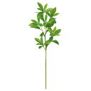 【ポイント10倍中 7/11 09:59迄】 造花 グリーン とりよせ品 アセビ インテリア フェイク グリーン パーツ インテリアフラワー フェイクフラワー ...