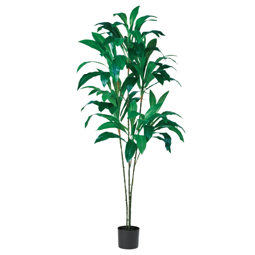 【ポイント5倍中 4/11 09:59迄】 フェイクグリーン 観葉植物 とりよせ品 【メーカー直送】 ドラセナ(ポット付) 180cm 《代引不可・他商品との同梱不可》 観葉植物 1.8m 大型 おしゃれ トロピカルインテリア 南国風 人工観葉 安い アスカ ASCA アスカ商会