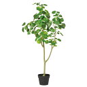 フェイクグリーン 観葉植物 とりよせ品 【メーカー直送】 シールドアラリア(ポット付) 120cm 《代引不可・他商品との同梱不可》 観葉植物 1.2m 大型 ...