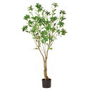 フェイクグリーン 観葉植物 とりよせ品 【メーカー直送】 アセビ(ポット付) 150cm 《代引不可・他商品との同梱不可》 観葉植物 1.5m 大型 おしゃれ ...