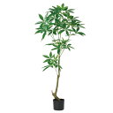 フェイクグリーン 観葉植物 とりよせ品 【メーカー直送】 パキラ(ポット付) 150cm 《代引不可・他商品との同梱不可》 観葉植物 1.5m 大型 おしゃれ ...