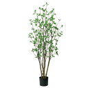 【ポイント10倍中 7/11 09:59迄】 フェイクグリーン 観葉植物 とりよせ品 【メーカー直送】 ドウダン(ポット付) 153cm 《代引不可・他商品との...