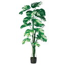 【ポイント10倍中 7/11 09:59迄】 フェイクグリーン 観葉植物 とりよせ品 【メーカー直送】 モンステラ(ポット付) 180cm 《代引不可・他商品と...