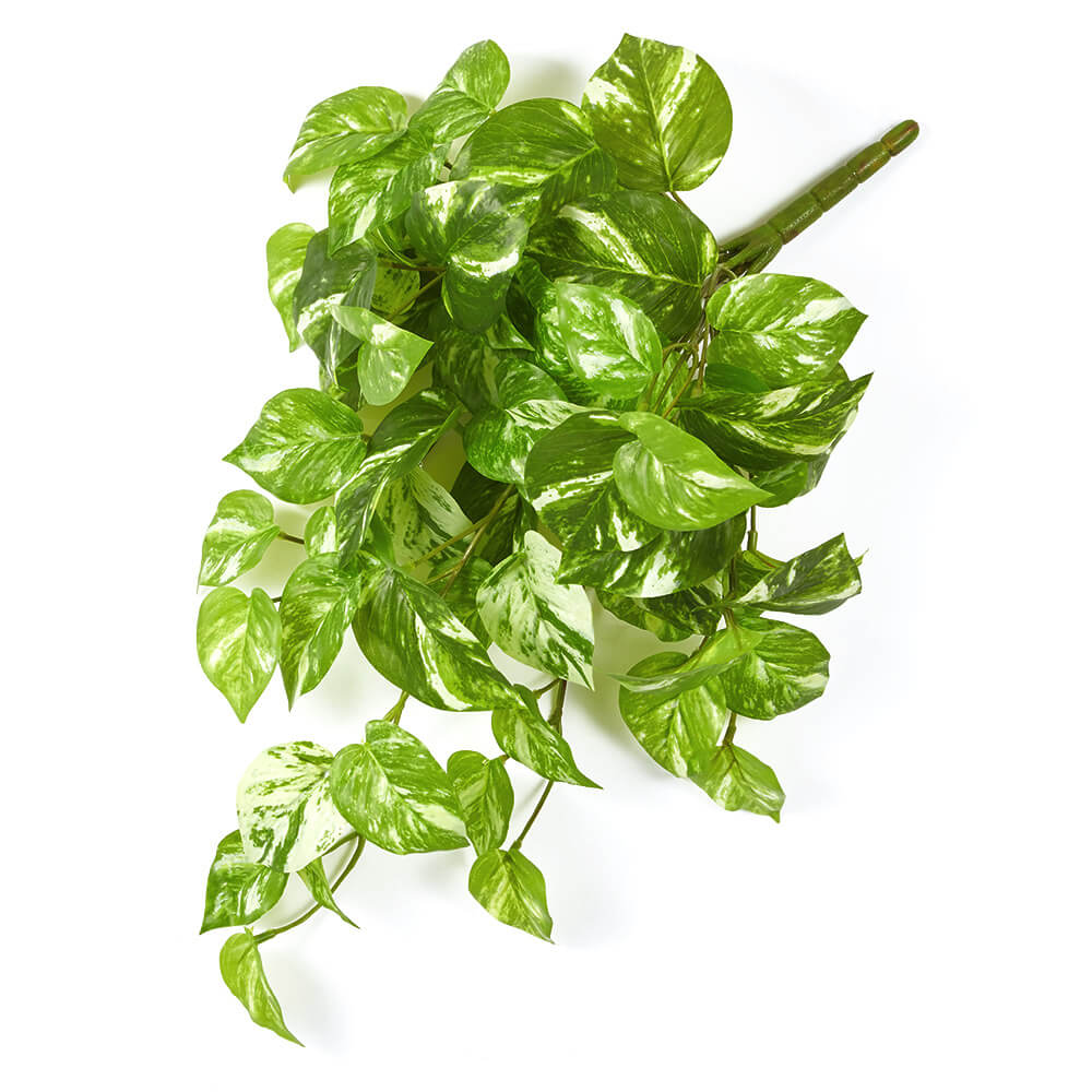 【P10倍 12/31まで！】 造花 グリーン とりよせ品 リアルタッチポトスバイン フェイクグリーン インテリアグリーン リーフ パーツ インテリアフラワー フェイクフラワー シルクフラワー 花材 素材