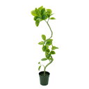 フェイクグリーン 観葉植物 【メーカー直送品】 ツイストアルテシマポット 120cm《代引不可・他商品との同梱不可》 観葉植物 観葉樹 フェイクグリーン リーフ...