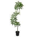 【ポイント10倍中 7/11 09:59迄】 フェイクグリーン 観葉植物 【メーカー直送品】 ツイストパキラポット(組立式) 200cm《代引不可・他商品との同...