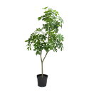 フェイクグリーン 観葉植物 【メーカー直送品】 シェフレラポット(3WAY) 70cm 100cm 150cm《代引不可・他商品との同梱不可》 観葉植物 観葉樹...