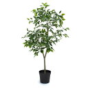 《 フェイクグリーン 観葉植物 》◆とりよせ品◆ フィカスポット(3WAY) グリーン観葉植物 観葉樹 フェイクグリーン リーフ おしゃれ 南国風 インテリア 人工観葉 インテリアフラワー フェイクフラワー