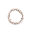 【ポイント10倍中 7/11 09:59迄】 リース 土台 とりよせ品 ライトリース・サンキライ 15cm(1セット5コ入り) インテリア 花資材 花器 ベース アレンジ 安い 装飾 フラワーアレンジメント 土台 母の日 結婚式 クリスマス 正月 ハロウィン 二次会 赤 大地農園